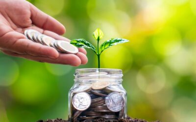 What Is Wealth Preservation? The Key to Long-Term Financial Security